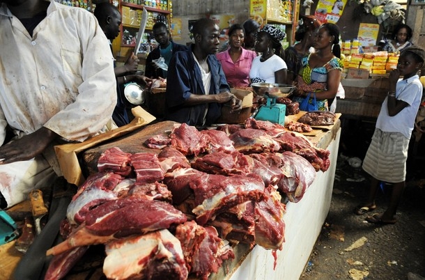 VIE CHÈRE : LES COÛTS DE TRANSPORT FRAGILISENT LA FILIÈRE VIANDE